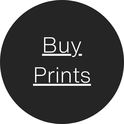 A link to the prints category